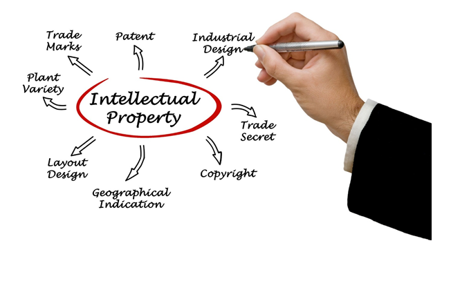 JTS Lex Law Firm Lucknow